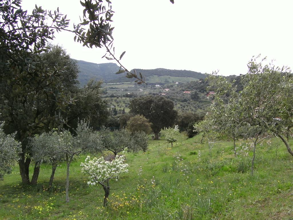 B&B Valli Verdi Alghero Buitenkant foto